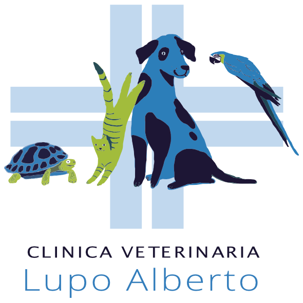 Clinica veterinaria Lupo Alberto della Dott.ssa Myriam Muracchini